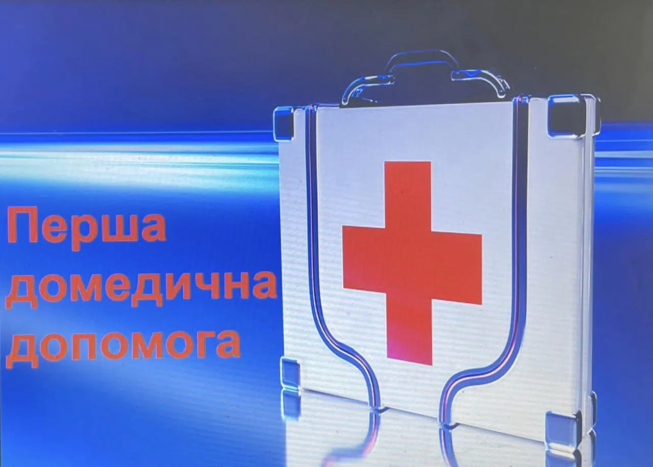 Тренінг з першої домедичної допомоги